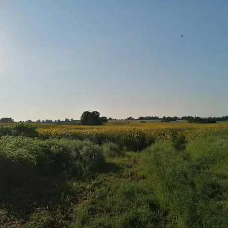Σπίτι διακοπών Mueck *